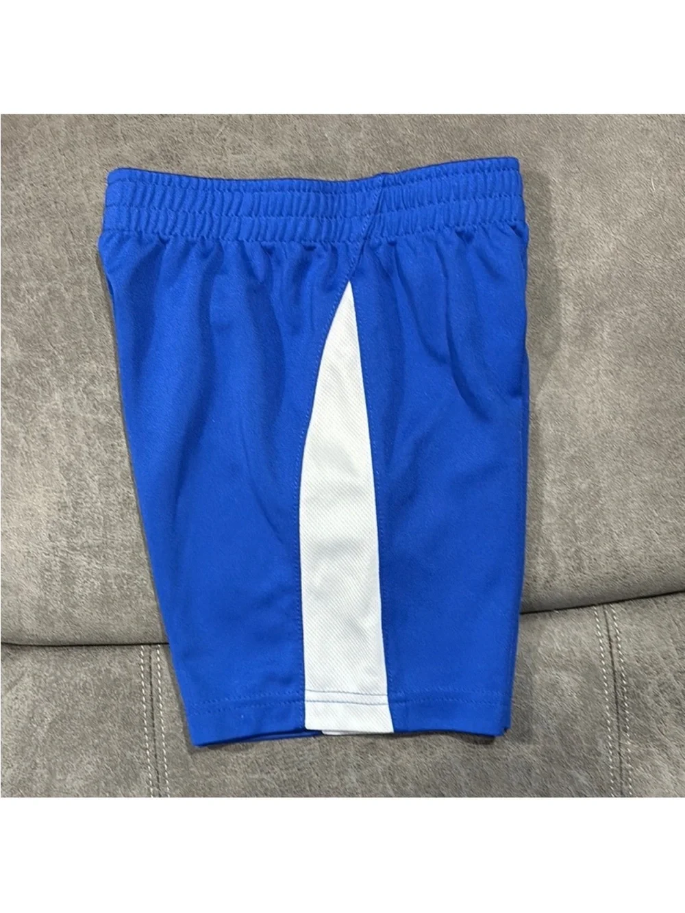 Nike Royal Blue Athletic Shorts with White Panels